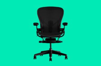 13 Best Office Chairs (2023): Budget, Luxe, Cushions, Casters, and Mats