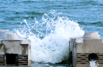 To Fight Coastal Erosion, Design a Bespoke Artificial Reef