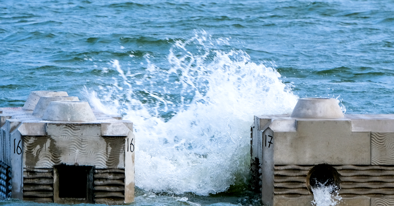 To Fight Coastal Erosion, Design a Bespoke Artificial Reef