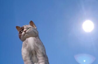 Augmented Reality Art Takes Over the Roofs of Sheffield, UK
| WIRED