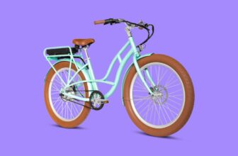 Priority E-Coast Review: High-Maintenance Ebike