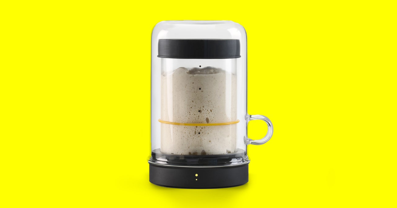 Goldie by Sourhouse Review: Keep Your Sourdough Starter in the Goldilocks Zone