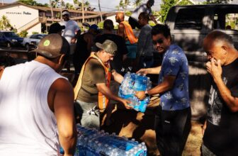 How to Help and Donate to Wildfire Victims in Hawaii