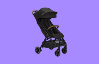 I Use This Overpriced Travel Stroller Every Single Day (2023)