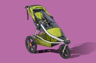 10 Best Strollers for Almost Every Budget and Need (2023)