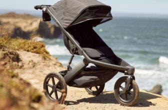 Guava Family Roam Stroller Review (2023): Convenient Jogging Stroller