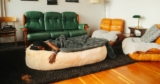 Plufl Human Dog Bed Review: Comfy and Cozy